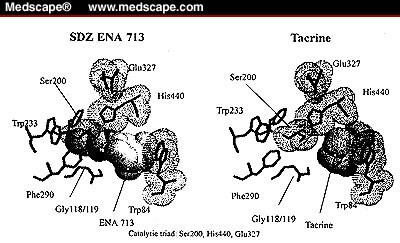 Exelon patch mechanism of action