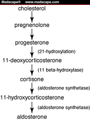 aldosterone pathway