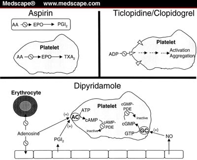 Mechanisms of action of antiplatelet agents. Aspirin irreversibly inhibits 