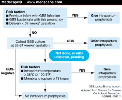 Antibiotic Prophylaxis For Neonatal Group B Streptococcal Disease