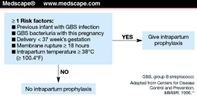 Antibiotic Prophylaxis For Neonatal Group B Streptococcal Disease