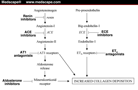 Ace Pathway