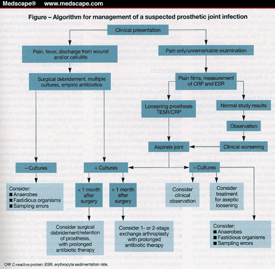 Management of Prosthetic Joint Infections