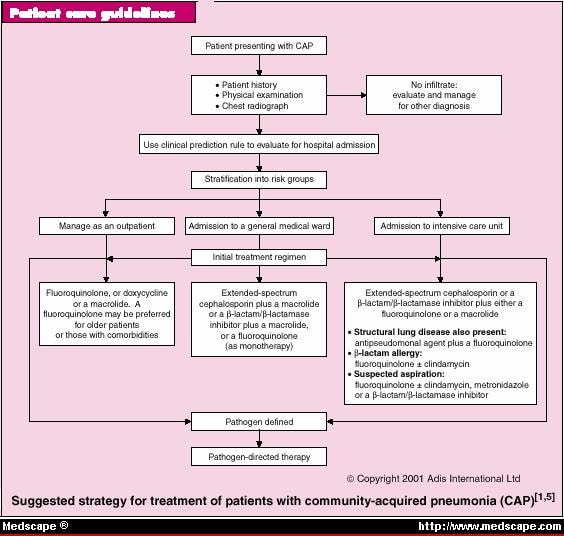 Community acquired pneumonia guidelines