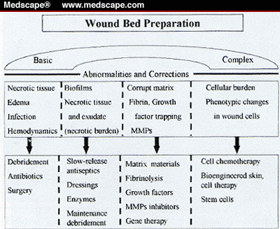 Wound Bed Preparation And The Role Of Enzymes