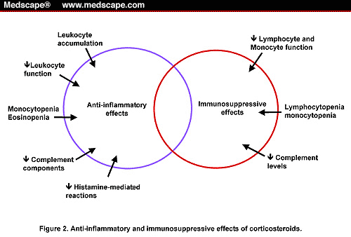 Choosing Topical Corticosteroids – American Academy