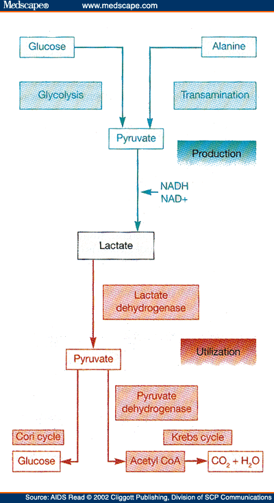 Lactate Acidosis