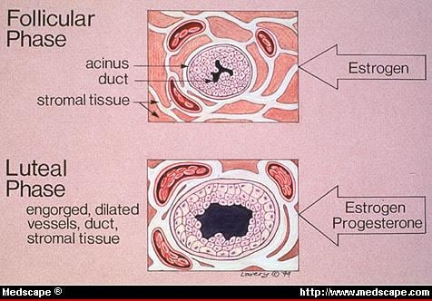 Physiologic effects of ovarian cycle on breast tissue.