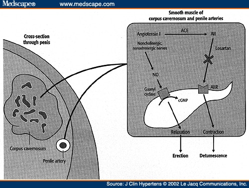 Angiotensin II receptor antagonist -.
