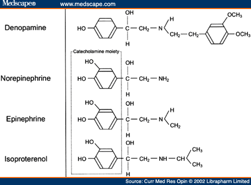 Catecholamine Structure