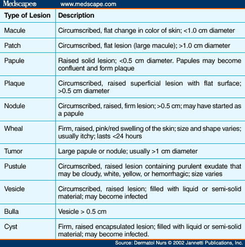Dermatological Descriptive Terms; information. Patient