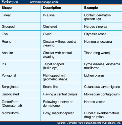 Elements description