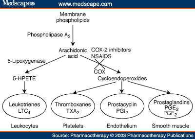 Cyclooxygenase 2 Pathway