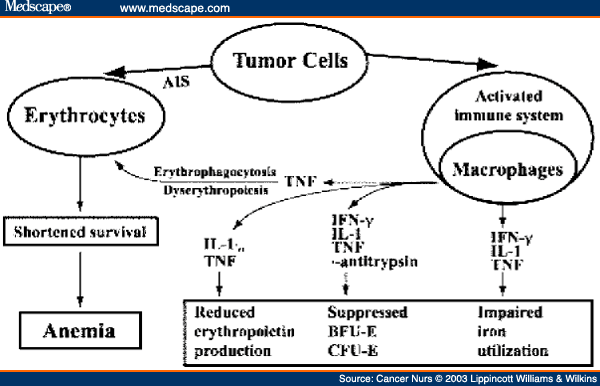 pathophysiology