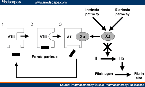  class of antithrombotic agents with a distinct mechanism of action that 