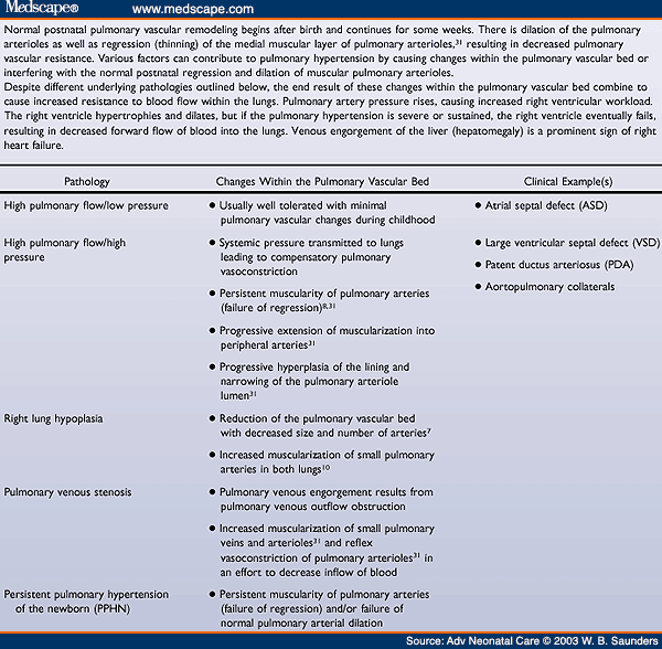 Possible Mechanisms by Which