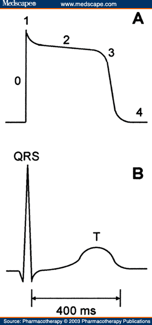 Relationship between the action potential in myocardial fibers (A) and the 