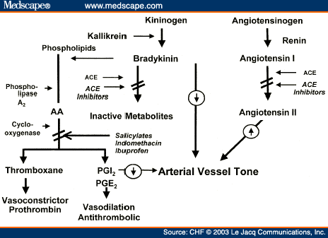 effect of ace inhibitors on heart rate