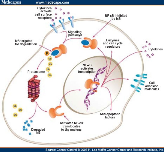 Cell Signalling Pathways