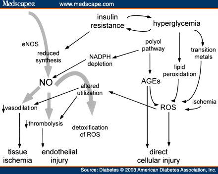  hyperglycemia