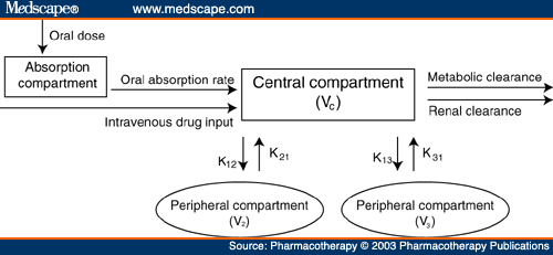 pharmacokinetics diagram