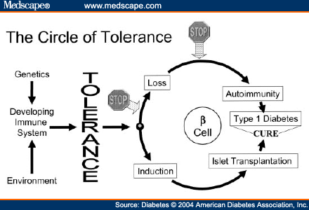 Window Of Tolerance