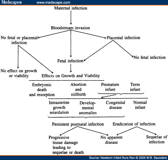 Update on TORCH Infections in the Newborn Infant