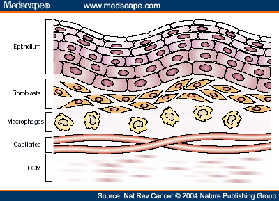 normal oral mucosa