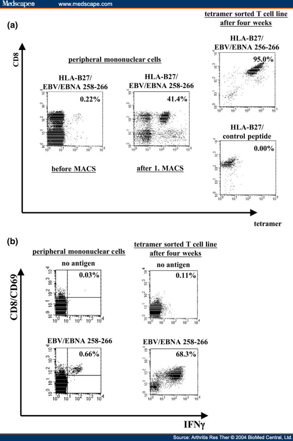 HLAB27 Tetramers and AntigenSpecific T Cells in CtReA