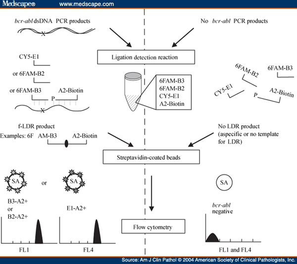 Schematic of fluorescent ligation detection reaction (f-LDR).