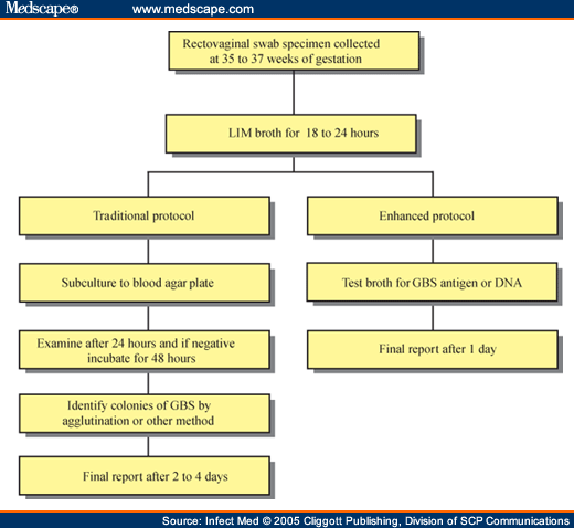 for group B streptococci