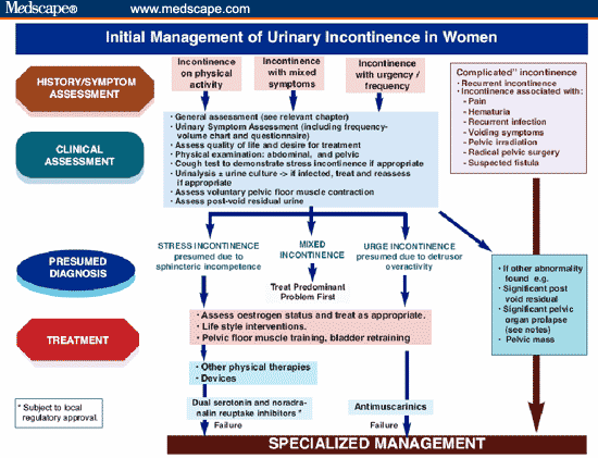 Urge Urinary Incontinence Pdf