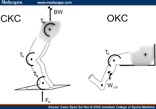 Kinematic Chain