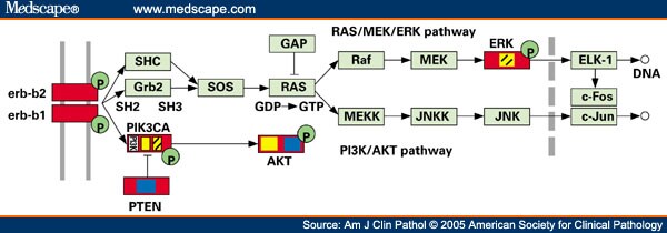 cancer genome anatomy project cancer genome anatomy project