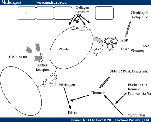 thromboxane a2