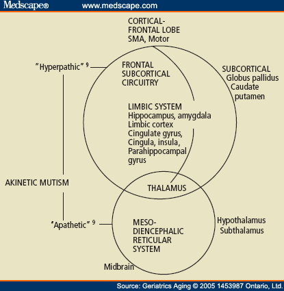 The Neural Pathways in Akinetic Mutism