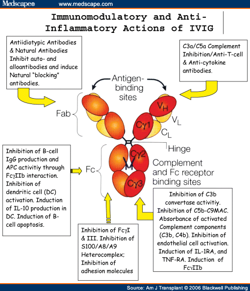 action known for IVIG in