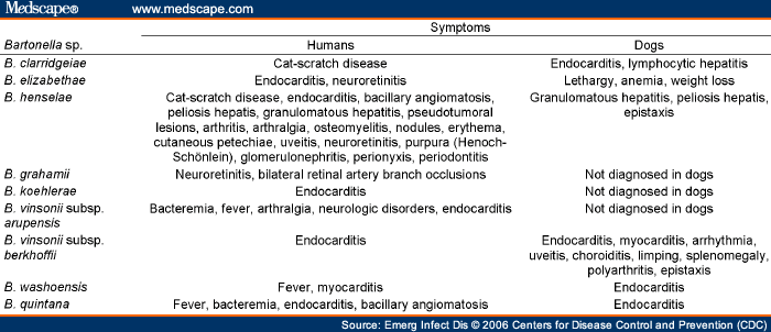 Bartonella Infections; Carrion's Disease; Oroya Fever; Verruga Peruana ...