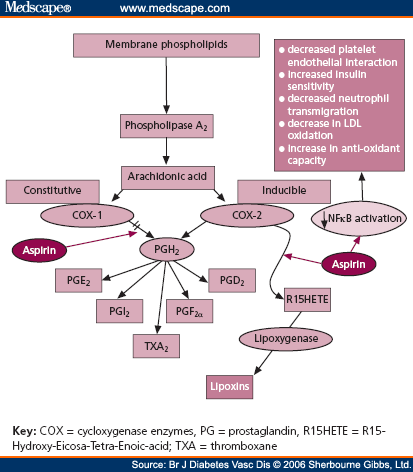 Cyclooxygenase 2 Pathway