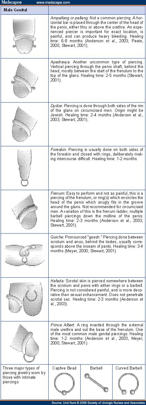 types of penis shapes chart