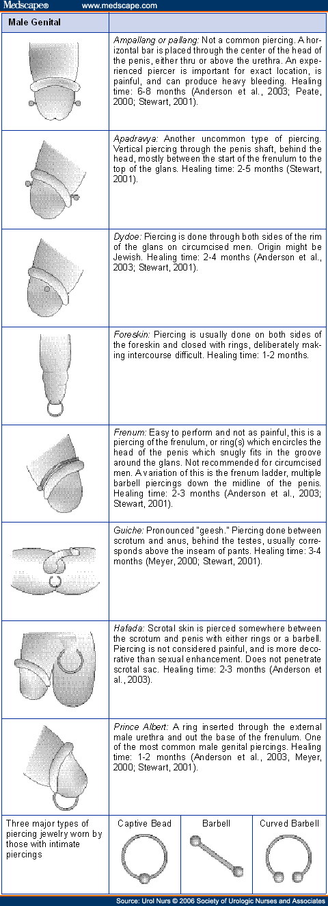 genitial piercing. Types of Genital Piercings