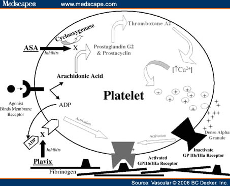 Plavix And Aspirin Allergy Diet