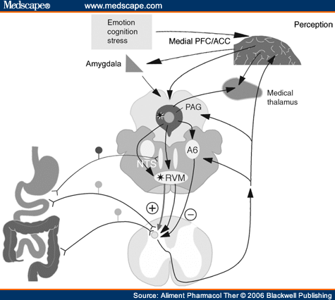 Ascending Pain Pathway