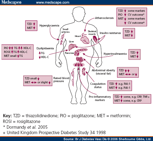 Metabolic Syndrome Pathophysiology