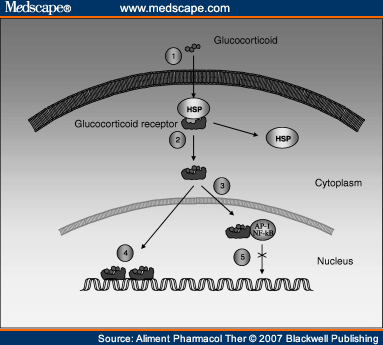 Corticosteroids asthma action