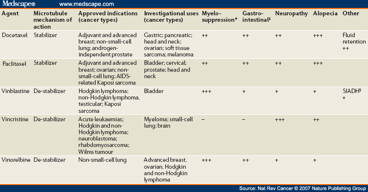 mitotic therapies: can we improve on tubulin agents? Biology Diagrams