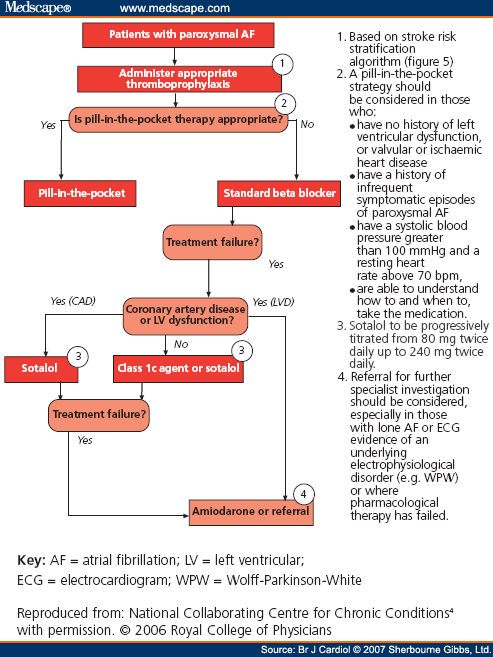 paroxysmal atrial fibrillation ecg