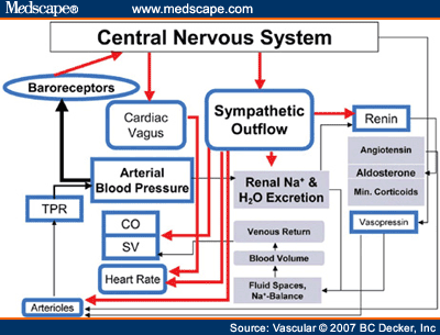 CO = cardiac output; SV = stroke volume; TPR = total peripheral resistance.