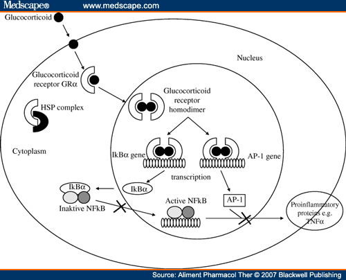 Mechanism of action of