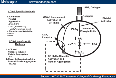 thromboxane a2